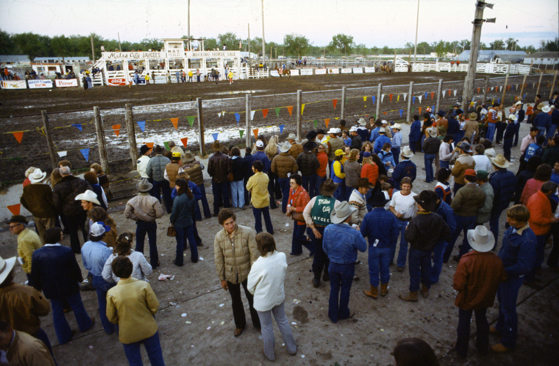 Miles City Bucking Horse Sale, 1978